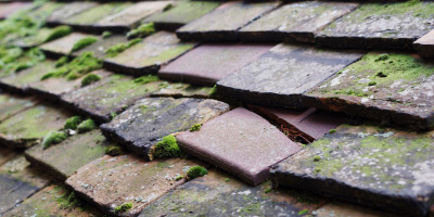 Llanllwch Llanllwni roof repair costs